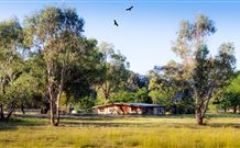 Starline Alpaca Farm Stay - Perths Hotel 2
