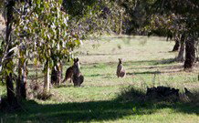 Amazing Country Escapes - Lakeview Luxury Cabins - Perths Hotel 2