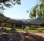 Cedar Grove - - Perths Hotel