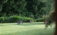 Yallambee Bed And Breakfast - Perths Hotel 4