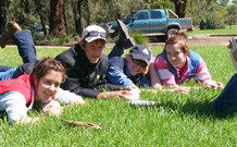 Murwillumbah  YHA Mount Warning - Perths Hotel 2