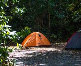 Jungle Lodge - Perths Hotel 1