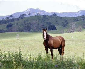 Marchioness Farmstay - Perths Hotel 1