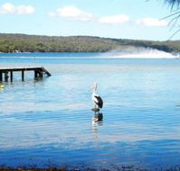 Dungowan Waterfront  Accommodation - Perths Hotel
