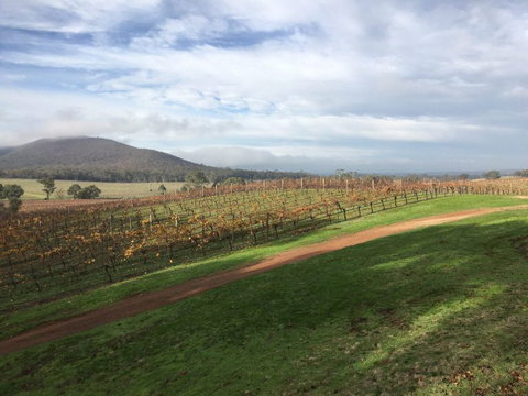 Sanguine Estate - Perths Hotel 36