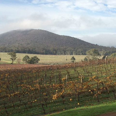 Sanguine Estate - Perths Hotel 6