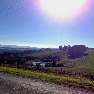 Eastern Dandenong Ranges Visitor Information Centre - Perths Hotel 9