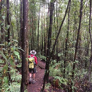 Eastern Dandenong Ranges Visitor Information Centre - Perths Hotel 11