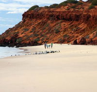 Herald Bight Camp at Francois Peron National Park - Perths Hotel