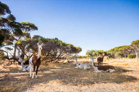 Kangaroo Island Health Retreat - Perths Hotel 8