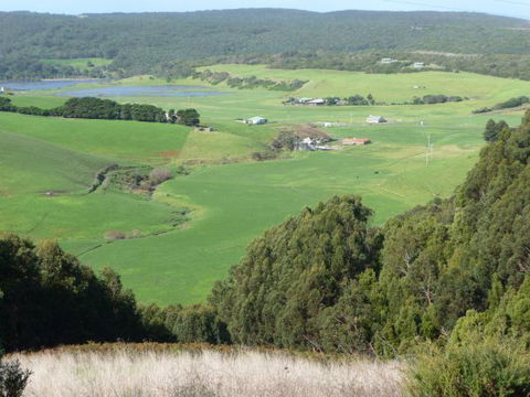 Johanna Bluegum Holiday Cabins - Perths Hotel 8
