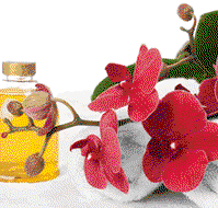 Sunny Hill Retreat Accommodation  Day Spa