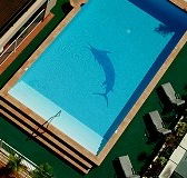Pacific International Hotel - Perths Hotel