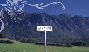 Glencoe Country Bed And Breakfast - Perths Hotel 2