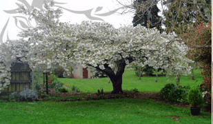 Glencoe Country Bed And Breakfast - Perths Hotel 3