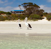Kangaroo Island Star Beach House - Perths Hotel