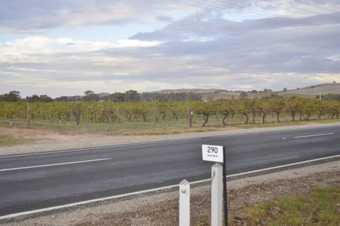 Almond Tree Cottage - Perths Hotel 5