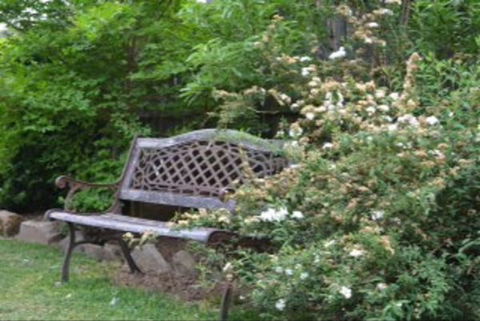 Garden Cottage B And B - Perths Hotel 4