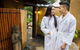 Japanese Mountain Retreat Mineral Springs & Spa - thumb 7