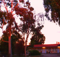 Murray Bridge Central Olympic Motel and Cottages - Perths Hotel
