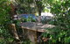 Palm Haven Bed And Breakfast - thumb 9