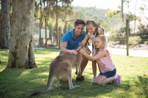 Paradise Country Farmstay - Perths Hotel 7