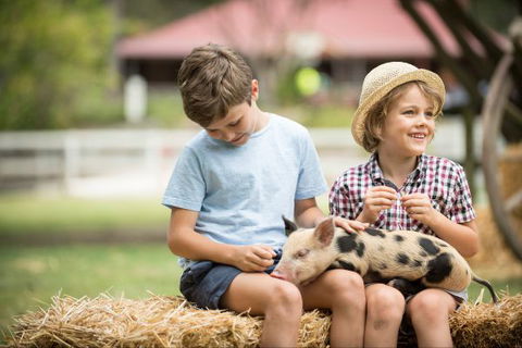 Paradise Country Farmstay - Perths Hotel 8