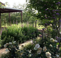 Wandana Bed and Breakfast - Perths Hotel