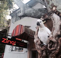 Zing Backpackers Hostel - Perths Hotel