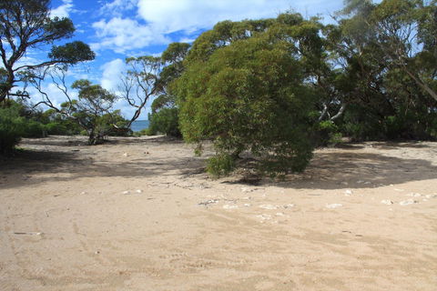 Acraman Creek Conservation Park Campgrounds - Perths Hotel 0