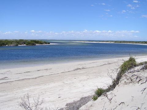 Acraman Creek Conservation Park Campgrounds - Perths Hotel 1