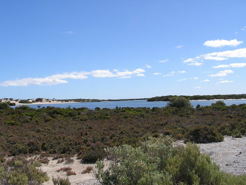 Acraman Creek Conservation Park Campgrounds - Perths Hotel 2