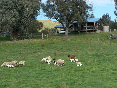 Gaddleen Grove Cottages - Perths Hotel 0