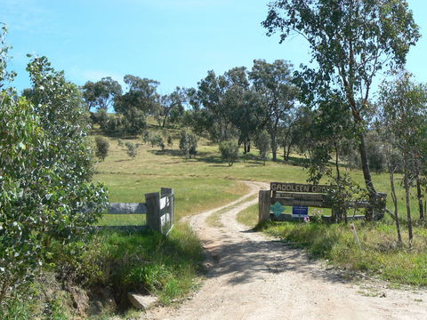 Gaddleen Grove Cottages - Perths Hotel 3