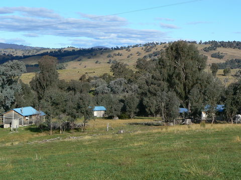 Gaddleen Grove Cottages - Perths Hotel 7