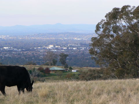Gaddleen Grove Cottages - Perths Hotel 8