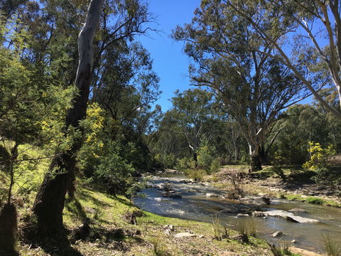 Highfield Farm And Woodland Bush Campsites - Perths Hotel 0