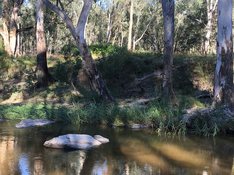 Highfield Farm And Woodland Bush Campsites - Perths Hotel 1