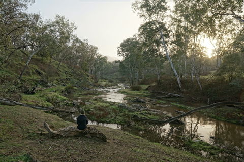 Highfield Farm And Woodland Bush Campsites - Perths Hotel 2