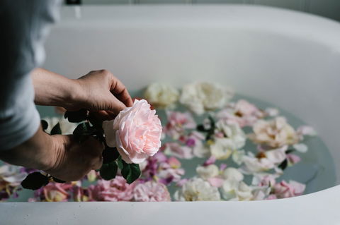 Acre Of Roses - Perths Hotel 5