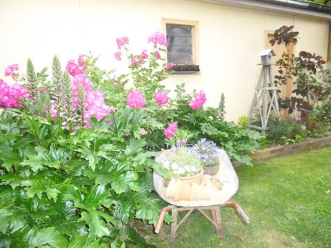 Aggies Bed And Breakfast - Perths Hotel 2