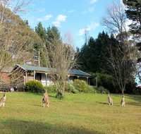 Cedar Lodge Cabins