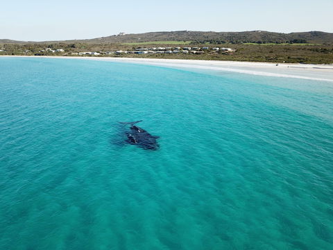 Cheynes Beach Caravan Park - Perths Hotel 3
