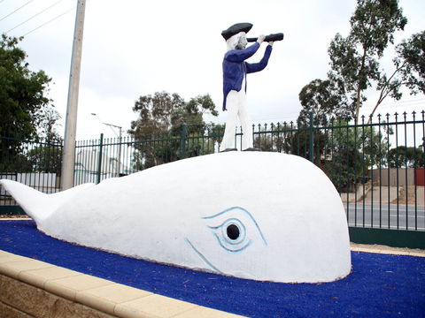 Explorers - Perths Hotel 1