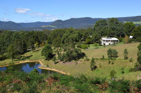 Golden Wattle - Kiaroo - Perths Hotel 0