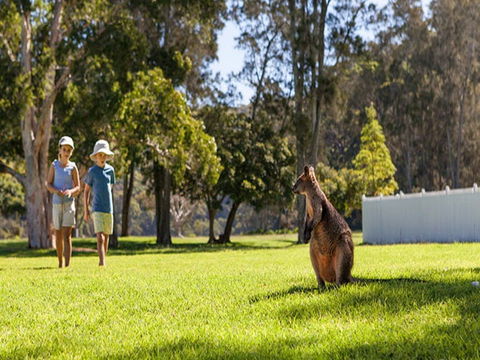 The Basin Campground - Perths Hotel 4