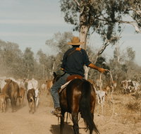 Bullo River Station - Perths Hotel