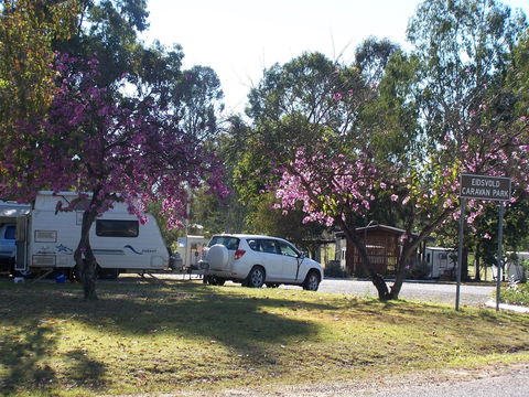 Eidsvold Caravan Park - Perths Hotel 0