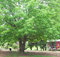 Hill End Holiday Ranch - Perths Hotel