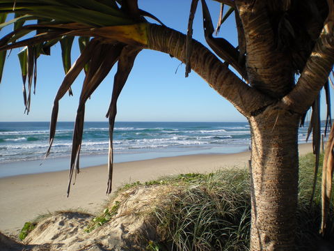 Horizons At Peregian - Perths Hotel 0